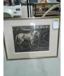 LITHOGRAPHIE CHEVAL 