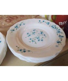 LOT DE 6 ASSIETTES MOTIFS MYOSOTIS 