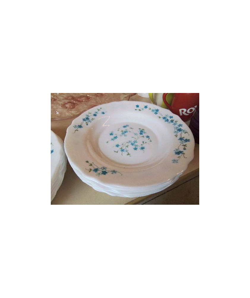 LOT DE 6 ASSIETTES MOTIFS MYOSOTIS 