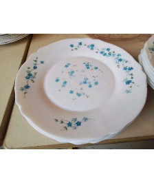 LOT DE 7 ASSIETTES PLATES MOTIF MYOSOTIS 