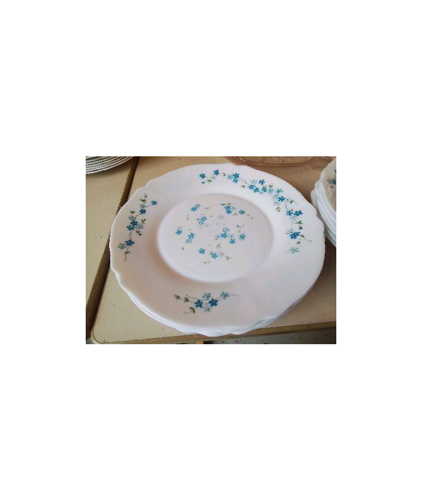 LOT DE 7 ASSIETTES PLATES MOTIF MYOSOTIS 