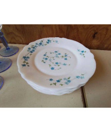 LOT DE 10 ASSIETTES A DESSERT MOTIF MYOSOTIS 