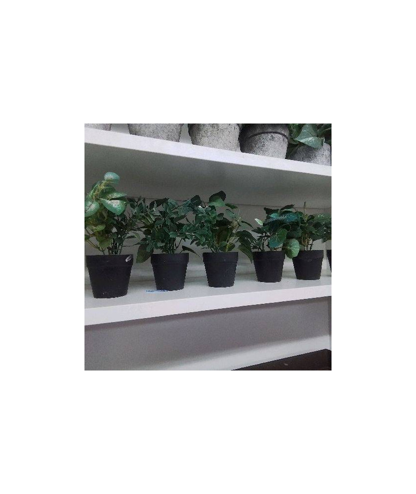 MINI PLANTE ARTIFICIELLE POT NOIR