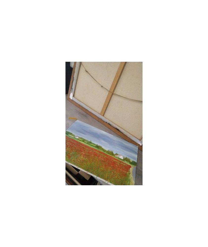 PEINTURE COQUELICOTS 