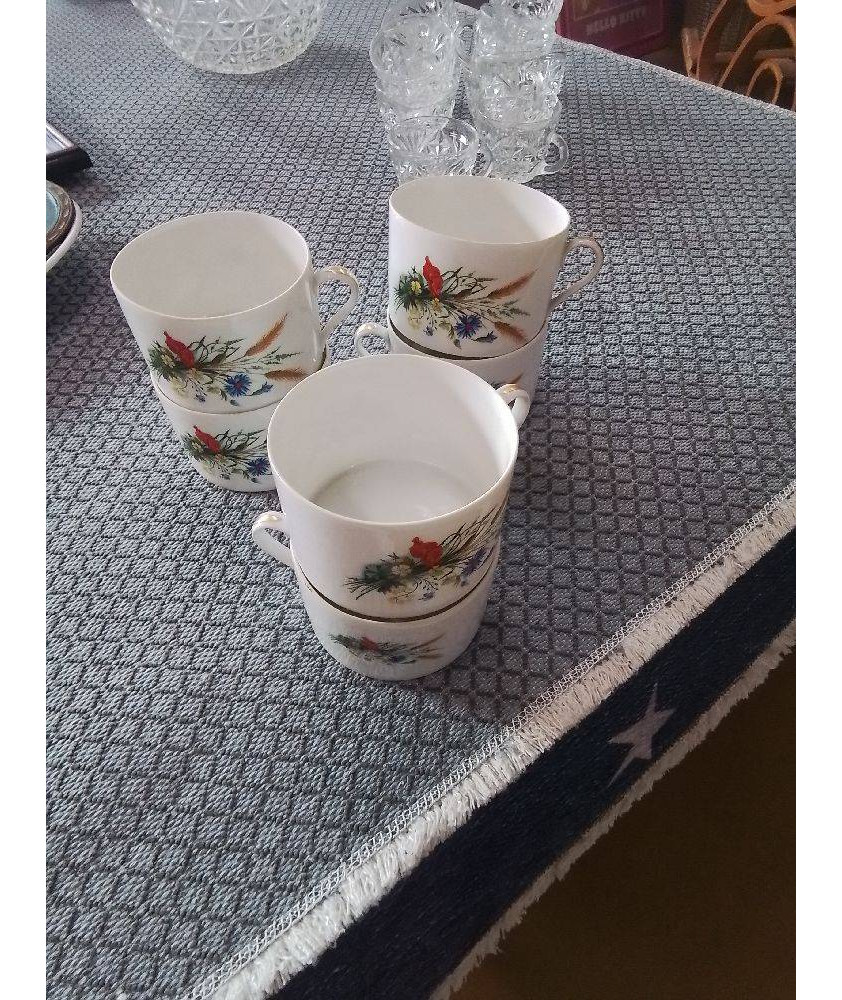 LOT DE 6 TASSES DE LIMOGES 