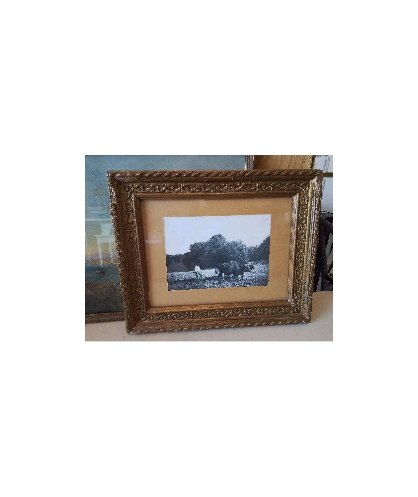 PHOTO ANCIENNE ENCADRÉ 