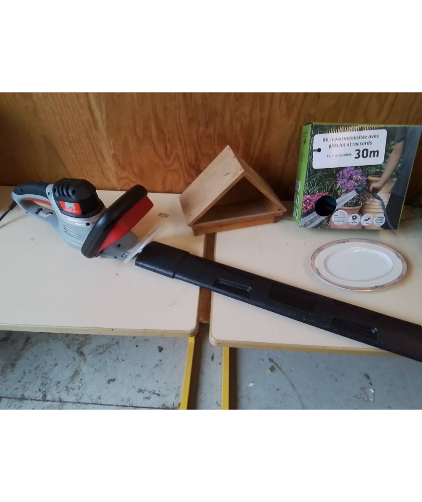 TAILLE HAIE ELECTRIQUE 