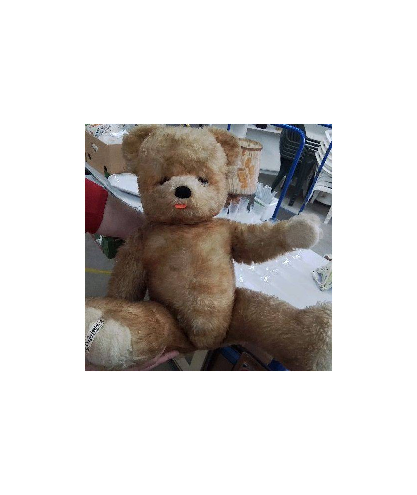 OURS ANCIEN ANIMA PARIS