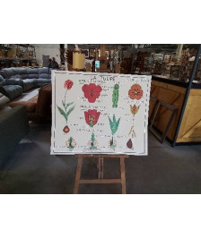 TABLEAUX DE SCIENCES ROSSIGNOL LA TULIPE LE BOUTON D OR 1314