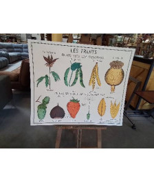 TABLEAUX DE SCIENCES ROSSIGNOL LES FRUITS LA GRAINE 910