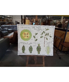 TABLEAUX DE SCIENCES ROSSIGNOL LES TIGES LA FEUILLE 56