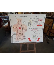 TABLEAUX DE SCIENCES ROSSIGNOL SYSTÈME SYMPATHIQUE LA PEAU LE TOUCHER 1718