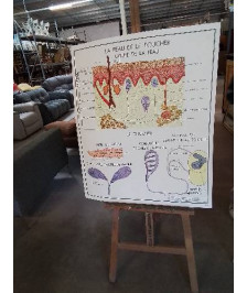 TABLEAUX DE SCIENCES ROSSIGNOL SYSTÈME SYMPATHIQUE LA PEAU LE TOUCHER 1718