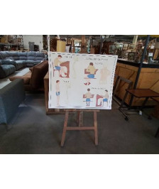 TABLEAUX DE SCIENCES ROSSIGNOL HYGIÈNE DU SQUELETTE LES MUSCLES 1314