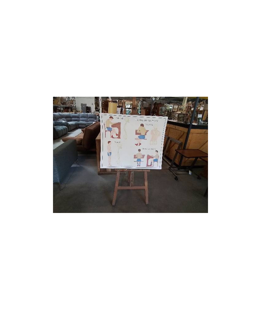 TABLEAUX DE SCIENCES ROSSIGNOL HYGIÈNE DU SQUELETTE LES MUSCLES 1314