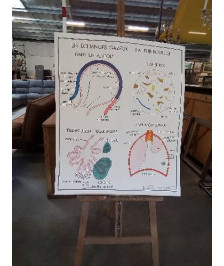 TABLEAUX DE SCIENCES ROSSIGNOL LES ECHANGES GAZEUX LA TUBERCULOSE LA RESPIRATION 78