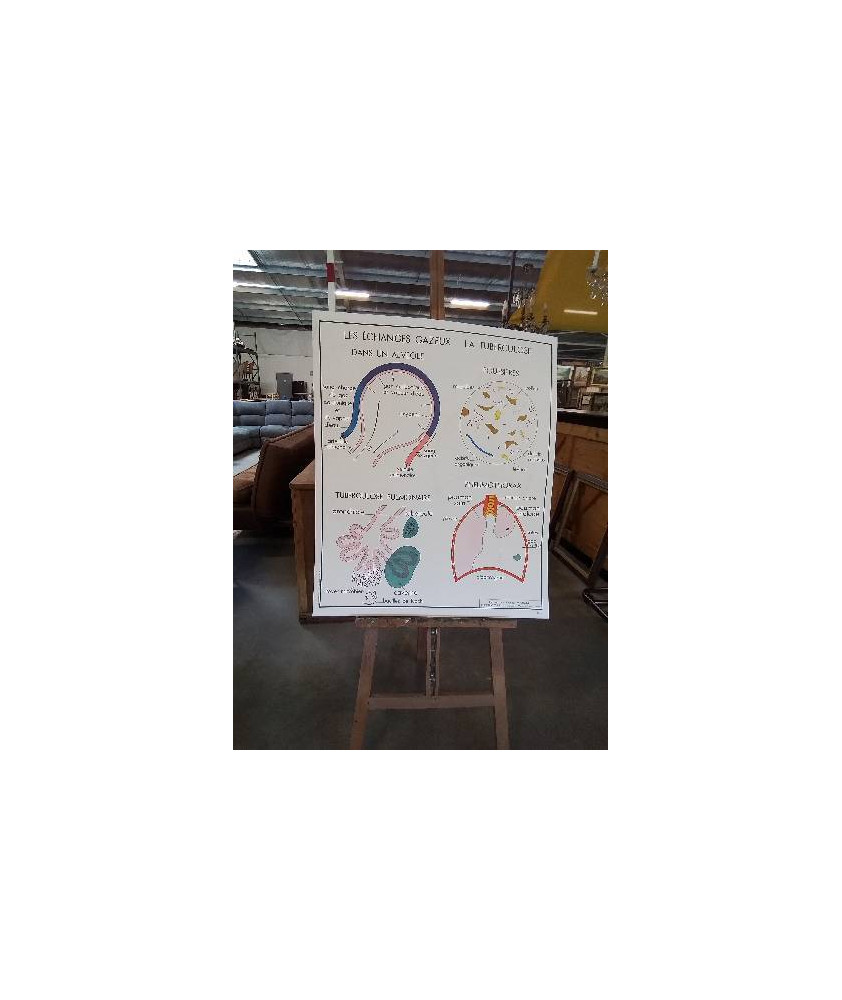 TABLEAUX DE SCIENCES ROSSIGNOL LES ECHANGES GAZEUX LA TUBERCULOSE LA RESPIRATION 78