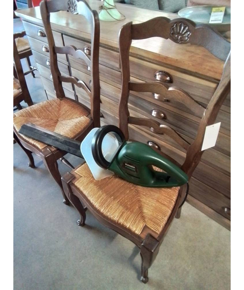 TAILLE HAIE ÉLECTRIQUE HANDY POWER 550W