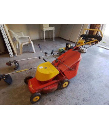 TONDEUSE ELECTRIQUE WOLF EUROTONDOR