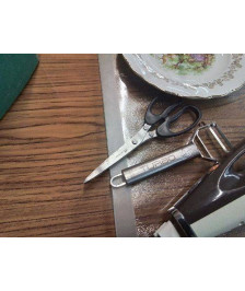 PAIRE DE CISEAUX HACHOIR