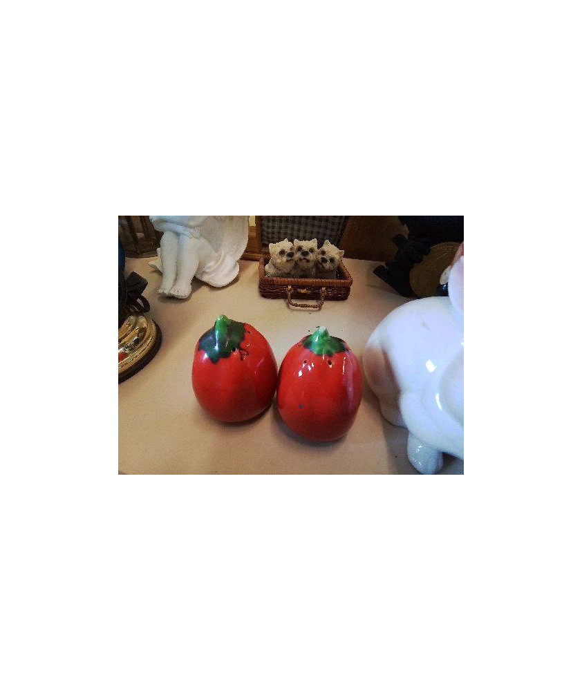 DUO SALIÈRE POIVRIÈRE TOMATE 