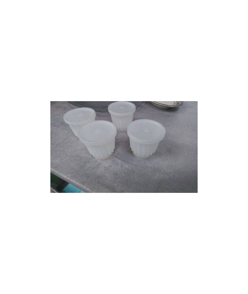 MOULES A FLAN TUP X4 