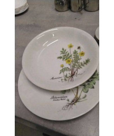 ASSIETTE PLANTE X2