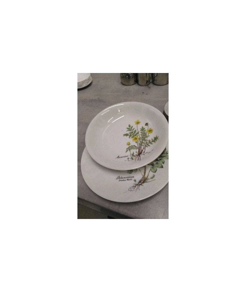 ASSIETTE PLANTE X2