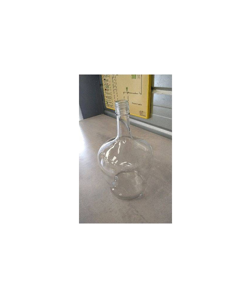 DECO BOUTEILLE VERRE