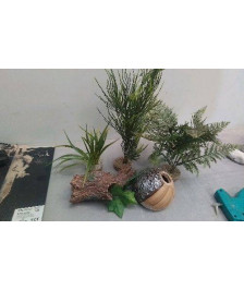 DECOS POUR AQUARIUM LE LOT 