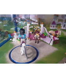 VITRINE PLAYMOBIL