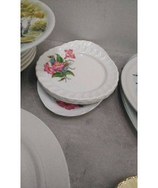 ASSIETTES PLASTIQUES + PLAT 