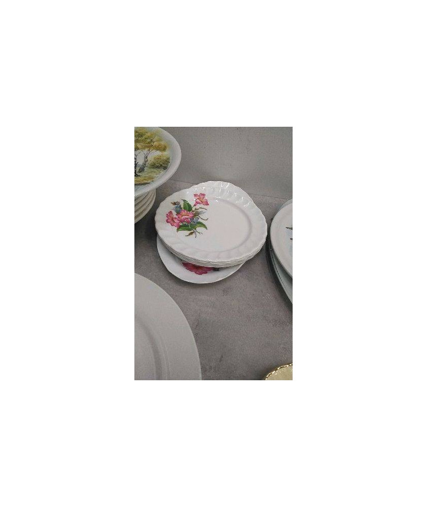 ASSIETTES PLASTIQUES + PLAT 