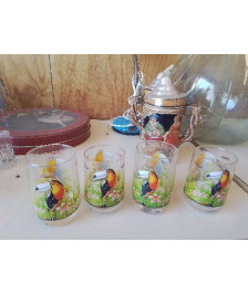 LOT DE 4 VERRES TOUCAN 