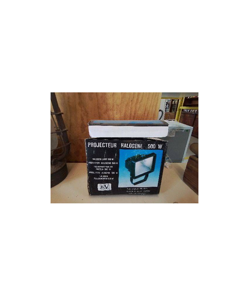 PROJECTEUR HALOGENE 500 W