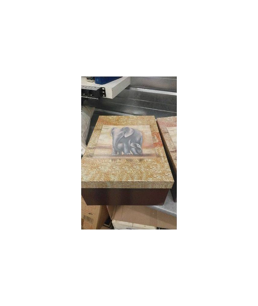 BOITE CARTON ELEPHANT GM 
