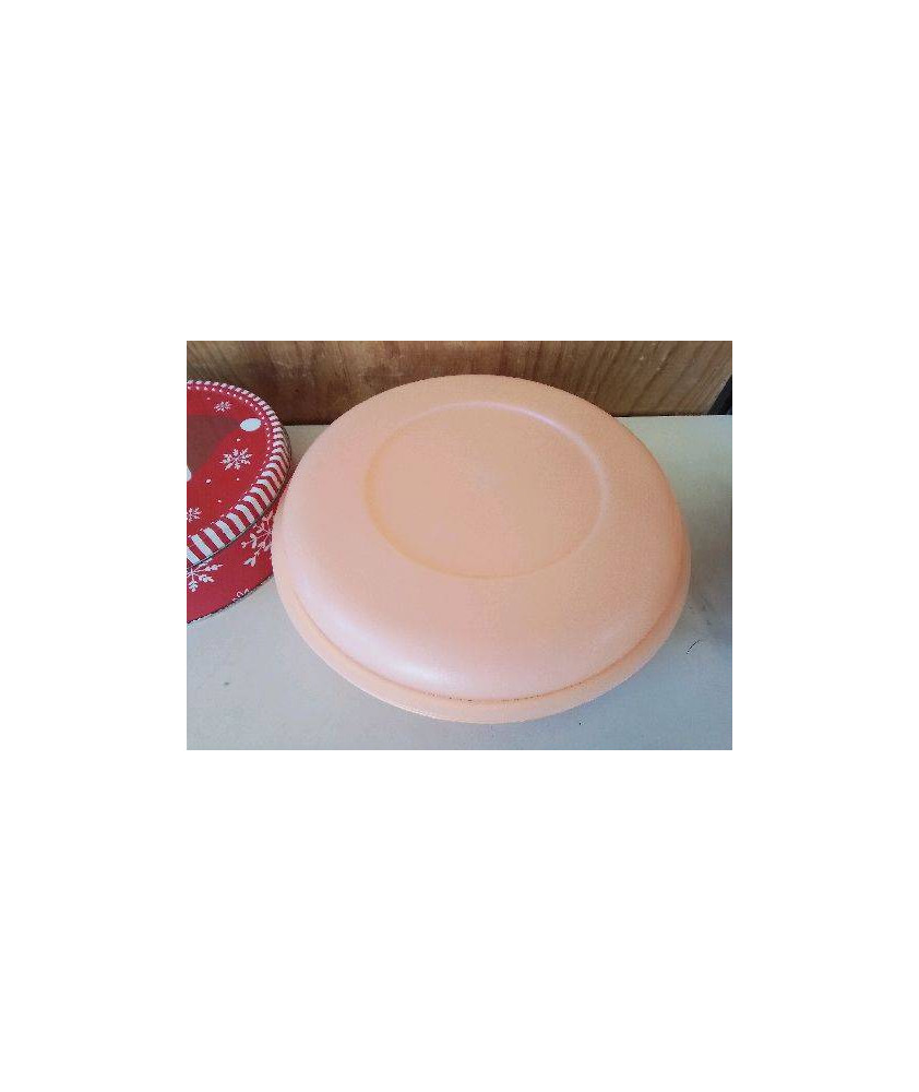 CLOCHE TUPPERWARE 