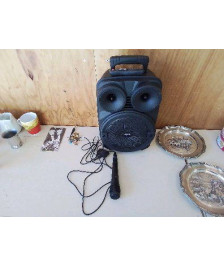 ENCEINTE KOOLSTAR KARAOKE