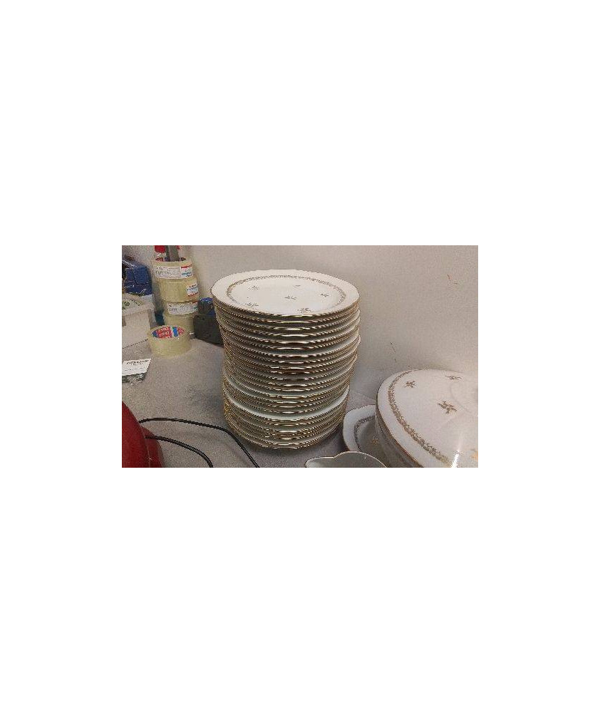 ASSIETTES LIMOGES LE LOT 