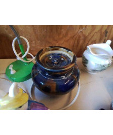 POT AVEC SON COUVERCLE 