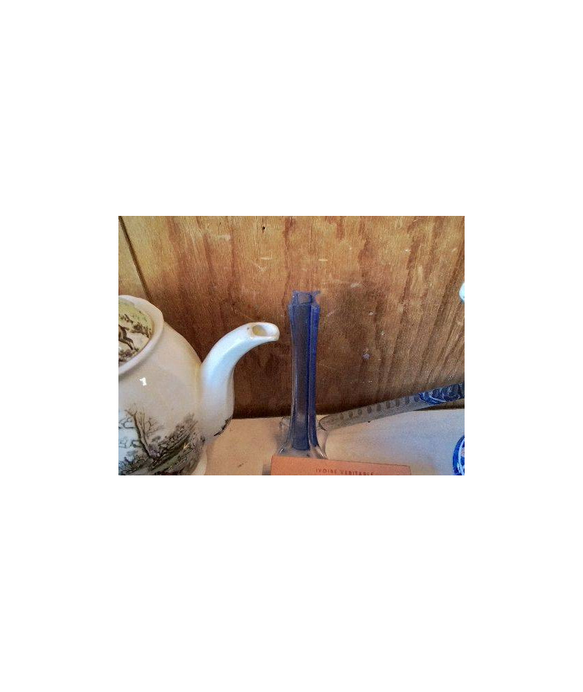 PETIT SOLIFLORE BLEU 