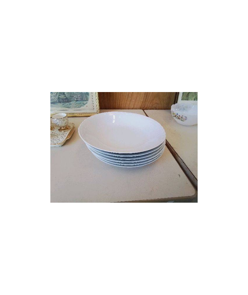 LOT DE 6 ASSIETTES BLANCHE CREUSE 