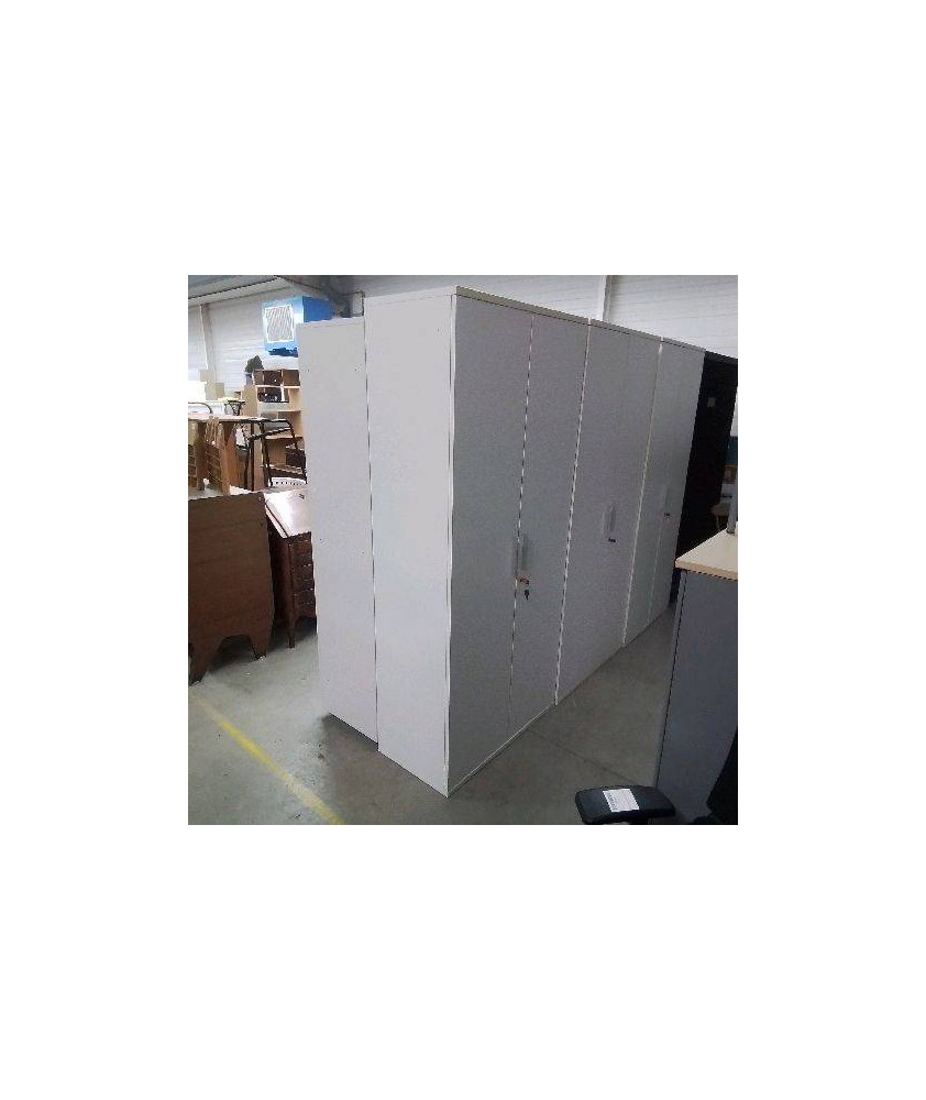 ARMOIRE DE BUREAU 2P