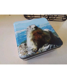 BOITE MARMOTTE