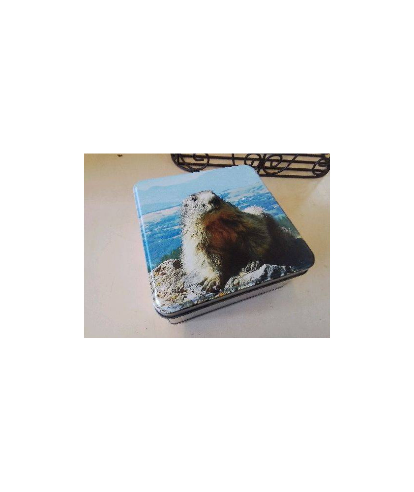 BOITE MARMOTTE