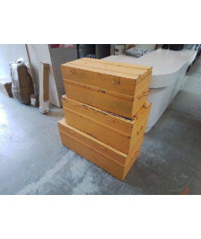 PETITE CANTINE JAUNE 