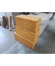 CANTINE JAUNE MOYENNE 