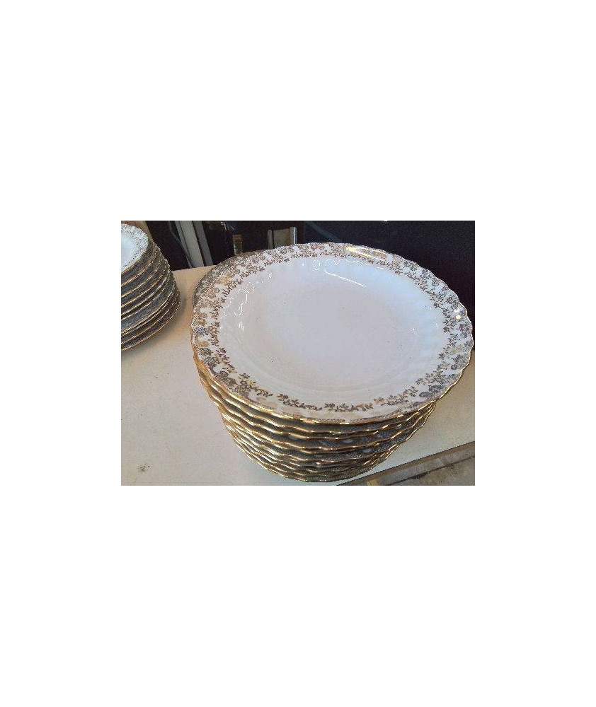 LOT 12 ASSIETTES CREUSES EN PORCELAINE 