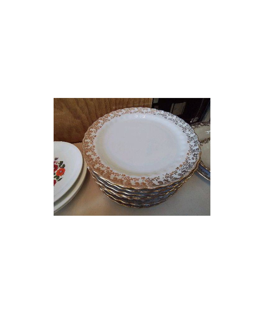 LOT DE 10 ASSIETTES PLATES EN PORCELAINE 