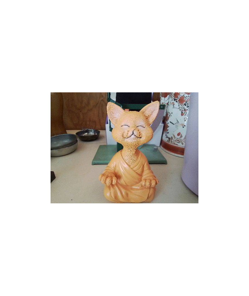 CHAT MOINE 
